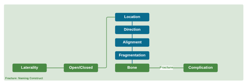 File:Fracture Naming Construct.png