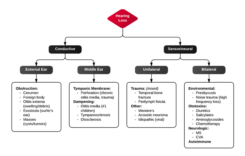 File:Hearing loss.png