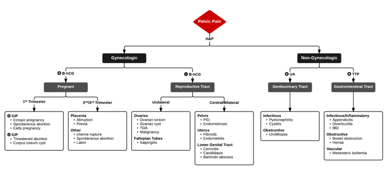 File:Pelvic Pain.png