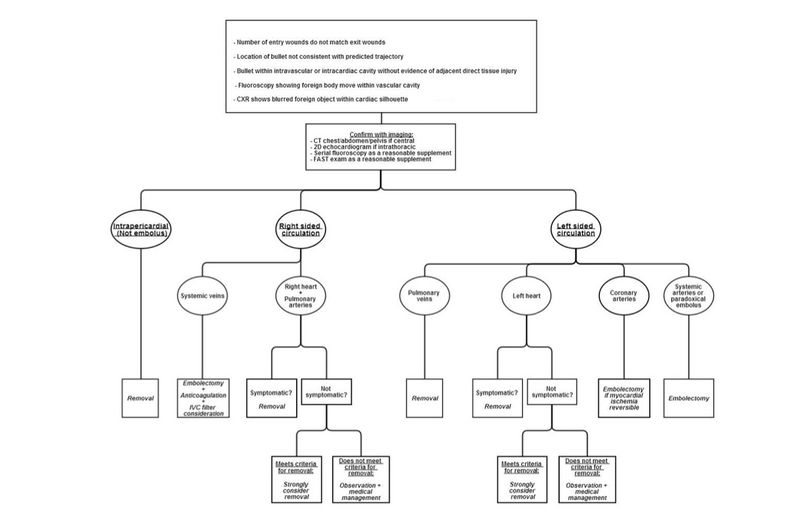 File:Wjem-16-489 copy 2.jpg